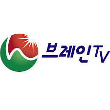 브레인티비